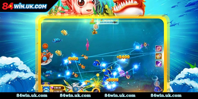 Kho vũ khí độc quyền đa dạng để ngư thủ lựa chọn