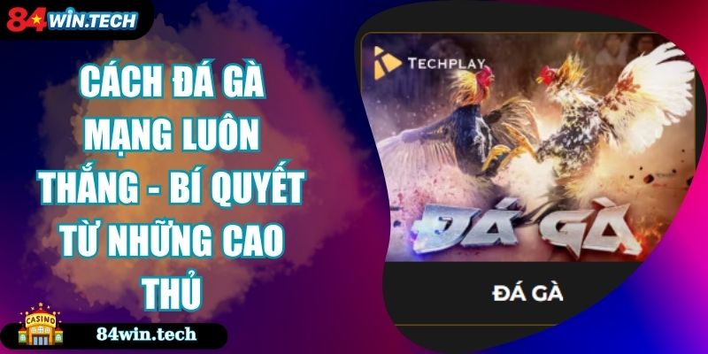 Cách Đá Gà Mạng Luôn Thắng - Bí Quyết Từ Những Cao Thủ