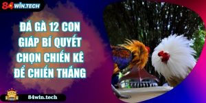 Đá Gà 12 Con Giáp Bí Quyết Chọn Chiến Kê Để Chiến Thắng