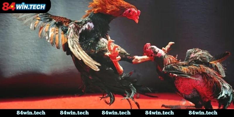 Tham khảo ý kiến từ những người có kinh nghiệm