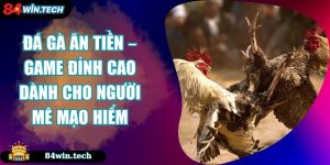 Đá Gà Ăn Tiền – Game Đỉnh Cao Dành Cho Người Mê Mạo Hiểm