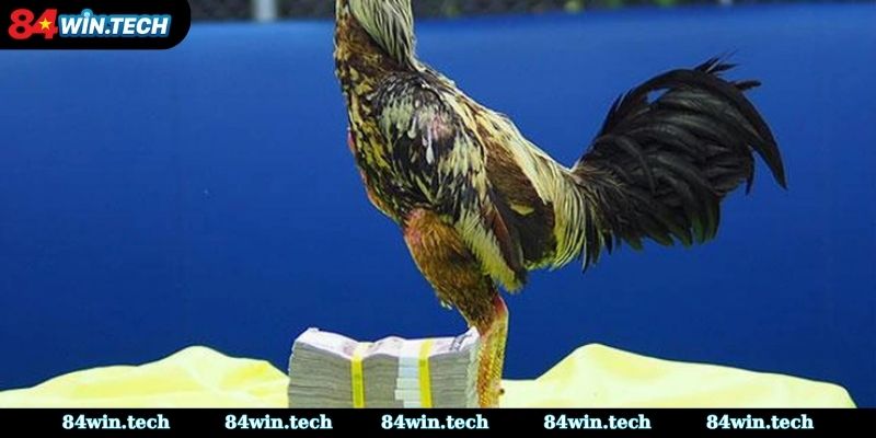 Quản Lý Vốn Chặt Chẽ