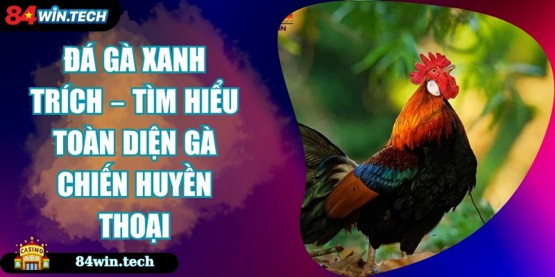 Đá Gà Xanh Trích – Tìm Hiểu Toàn Diện Gà Chiến Huyền Thoại