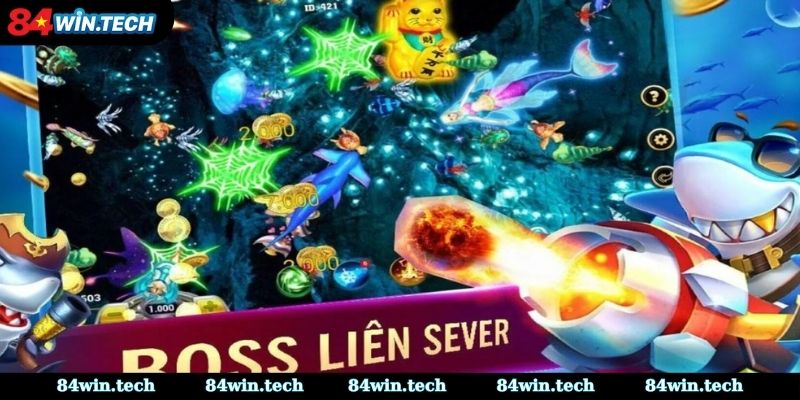 Săn cá khủng khi đủ đạn