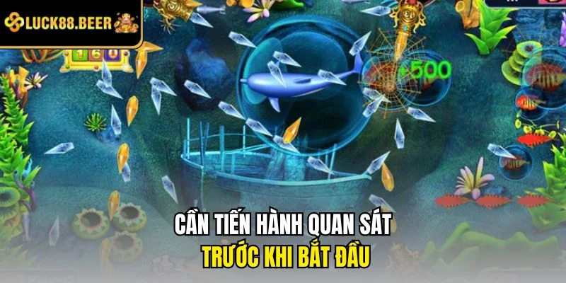 Cần tiến hành quan sát trước khi bắt đầu